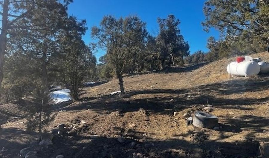 132 White Tail Pl, Arboles, CO 81121 - 0 Beds, 0 Bath