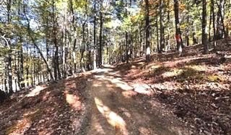 0 LOWER ARKANSAS Rd, Baker, WV 26801 - 0 Beds, 0 Bath