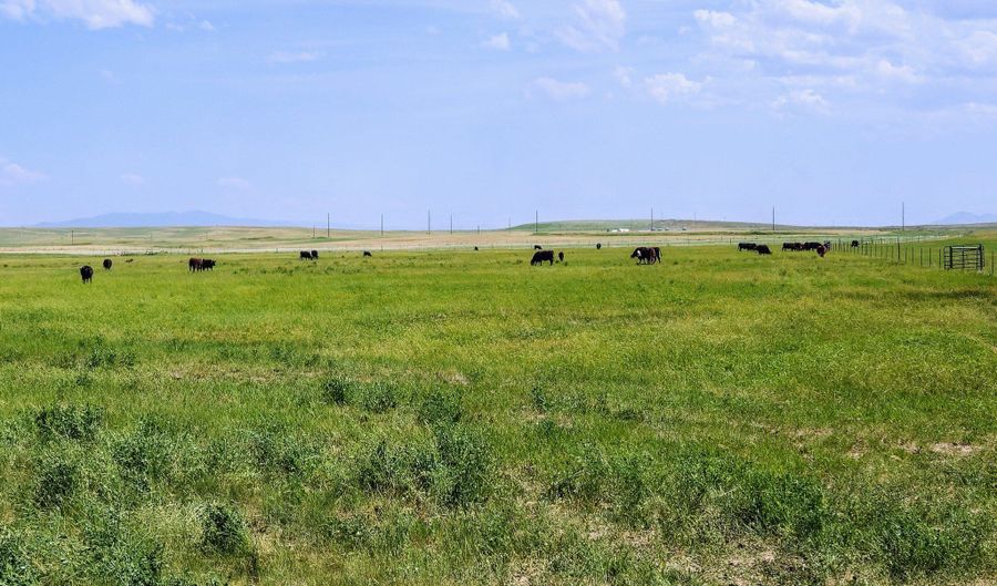 2876 CHESTERFIELD, Bancroft, ID 83217 - 0 Beds, 0 Bath