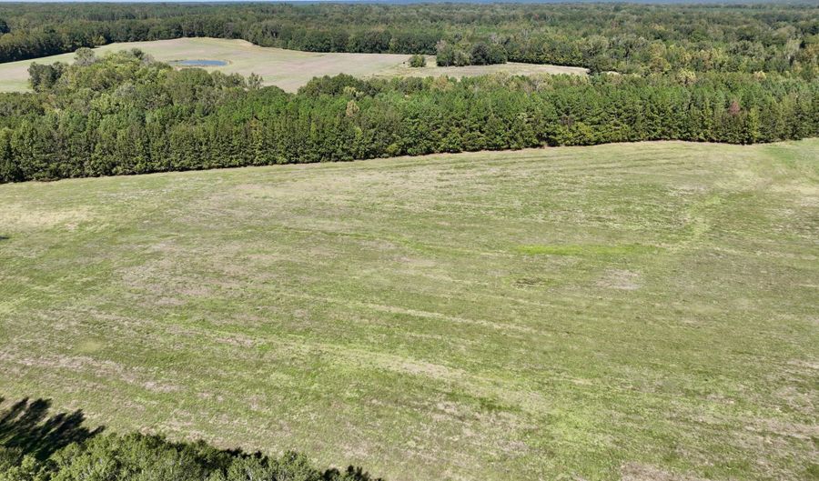 00001 Frank Hall Rd, Bolton, MS 39041 - 0 Beds, 0 Bath