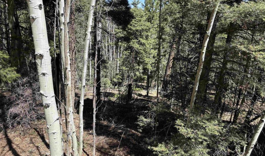 Santo Domingo Trl lot 716, Angel Fire, NM 87710 - 0 Beds, 0 Bath