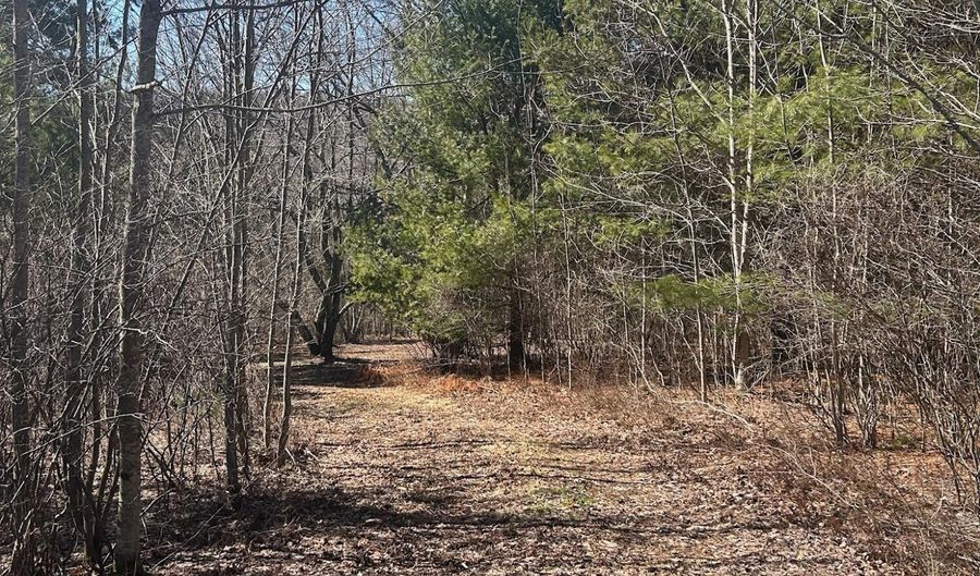 L21.1 Alder Pond Road, Andes, NY 13740 - 0 Beds, 0 Bath