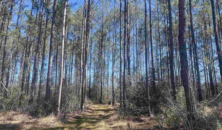 1 Robinsonville Rd, Atmore, AL 36502 - 0 Beds, 0 Bath