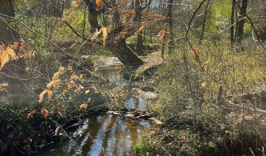 Julius Bridge Road, Ball Ground, GA 30107 - 0 Beds, 0 Bath