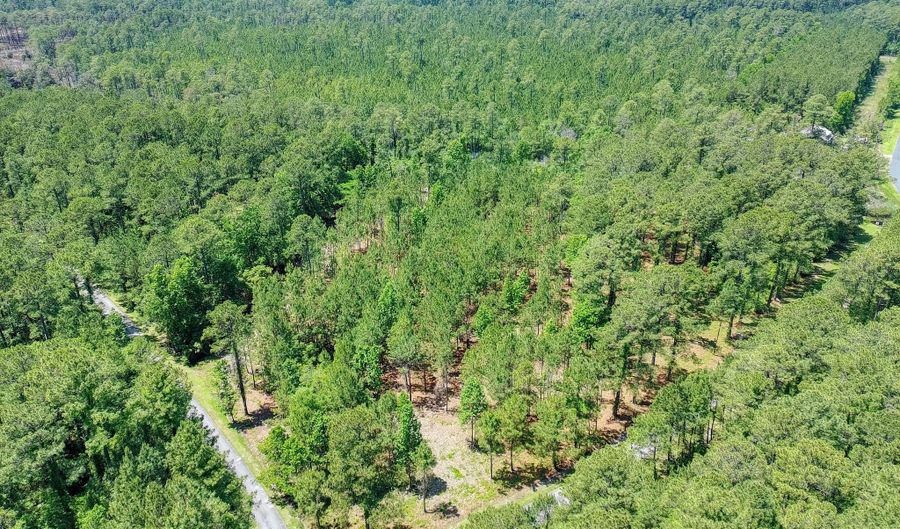 22 Peterson Creek Rd, Aurora, NC 27806 - 0 Beds, 0 Bath