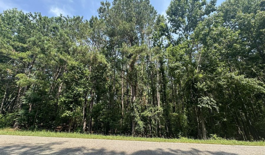 Ridge Road lot 1-E, Appling, GA 30802 - 0 Beds, 0 Bath