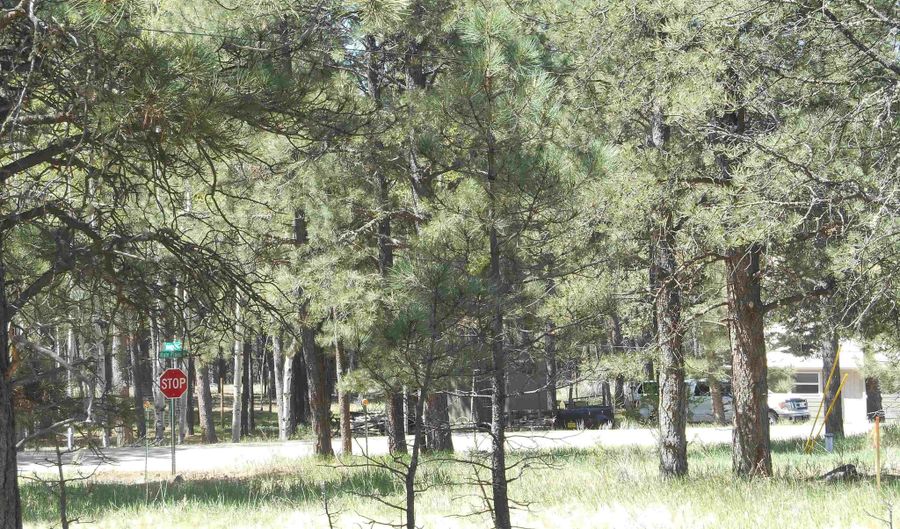 Lot 7 Horseshoe Bend, Angel Fire, NM 87710 - 0 Beds, 0 Bath