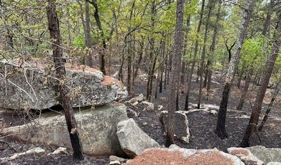 TBD Kiamichi Wilderness, Antlers, OK 74523 - 0 Beds, 0 Bath