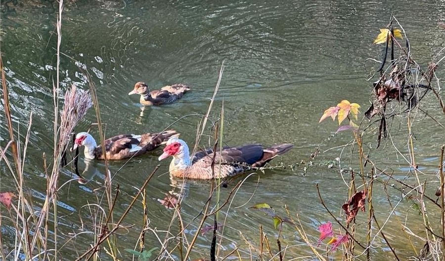 5400 COUNTY ROAD 128, Alexander City, AL 35010 - 0 Beds, 0 Bath