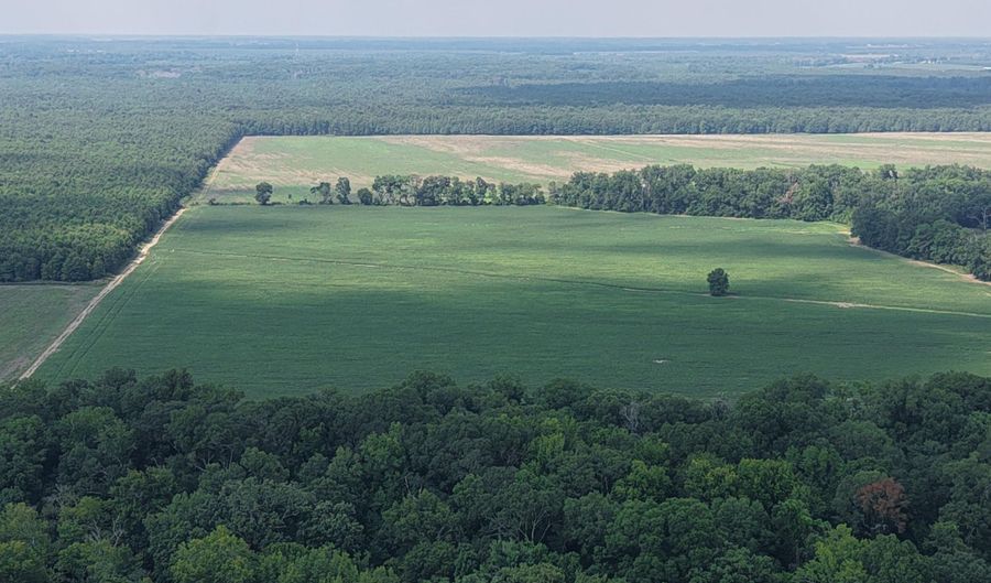 Dawling Bayou Road, Anguilla, MS 38721 - 0 Beds, 0 Bath