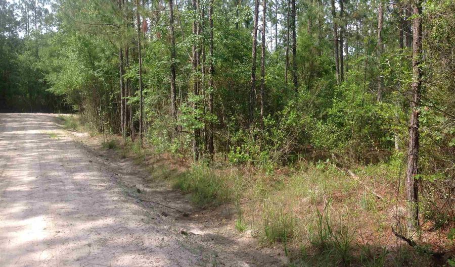 0 Tommy Rd 14 acres, Glen St. Mary, FL 32040 - 0 Beds, 0 Bath