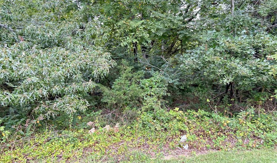Martin Street lot 3 4 5, Ash Flat, AR 72513 - 0 Beds, 0 Bath