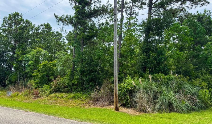 Hibiscus Drive, Bay St. Louis, MS 39520 - 0 Beds, 0 Bath