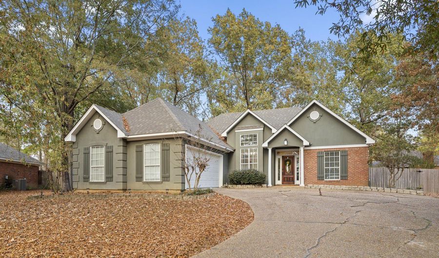 537 Greenhead Cir, Brandon, MS 39047 - 3 Beds, 2 Bath