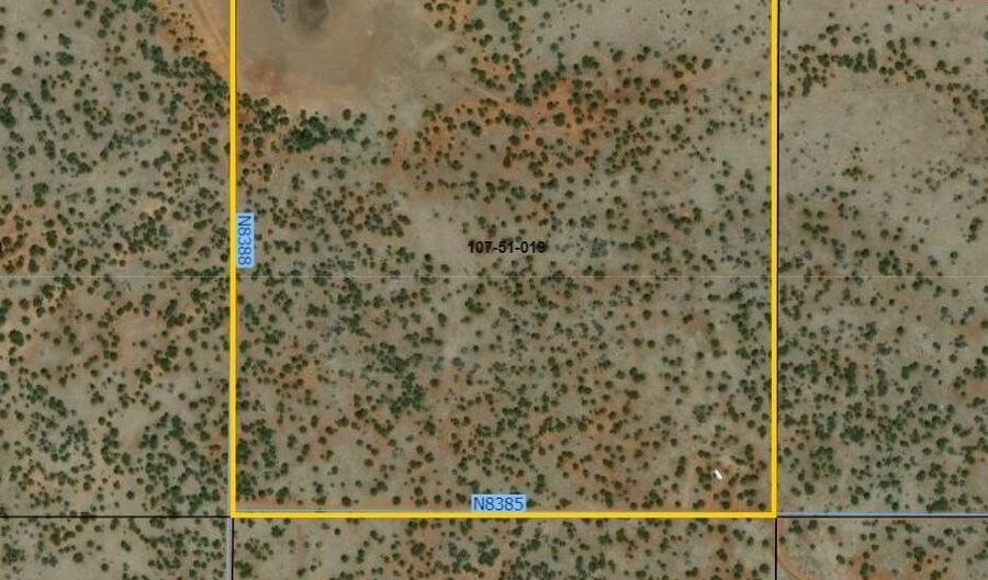 ACR N8388 and N8385 19, Concho, AZ 85924 - 0 Beds, 0 Bath