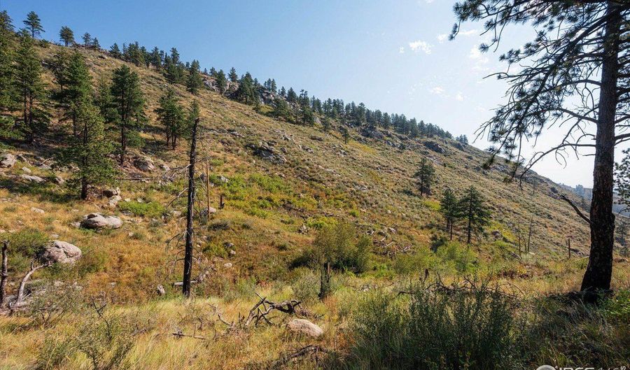 0 Pine Acres Way, Bellvue, CO 80512 - 0 Beds, 0 Bath