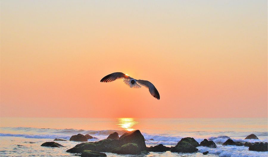 100 18th Ave 2, 2Nd Floor, Belmar, NJ 07719 - 2 Beds, 1 Bath