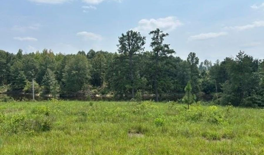 4 SOCIETY HILL Rd, Auburn, AL 36830 - 0 Beds, 0 Bath
