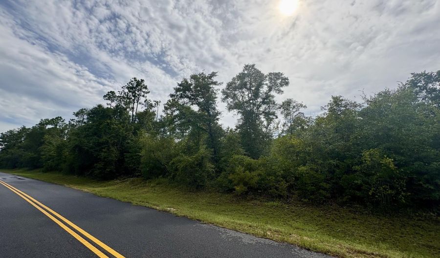 View Drive lot 8, Alford, FL 32420 - 0 Beds, 0 Bath