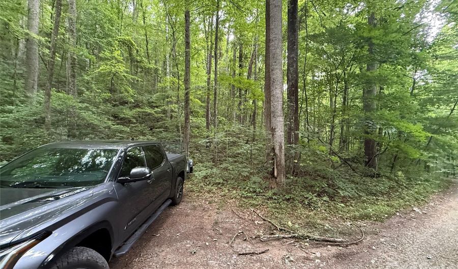 9999 Countryside Est, Barnardsville, NC 28709 - 0 Beds, 0 Bath