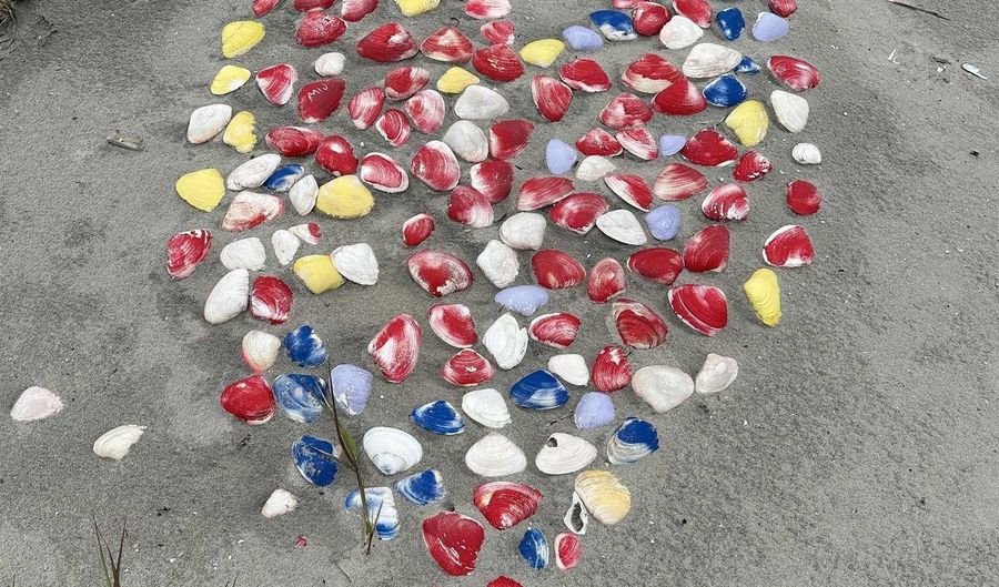 44 N Raleigh, Atlantic City, NJ 08401 - 3 Beds, 2 Bath