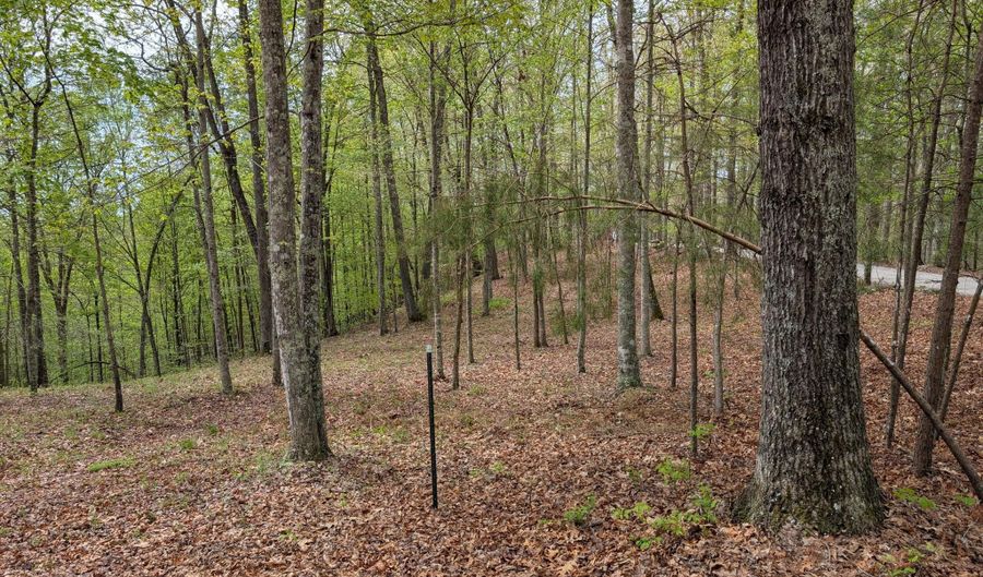 15 Sunrise Mountain Retreat Rd, Beattyville, KY 41311 - 0 Beds, 0 Bath