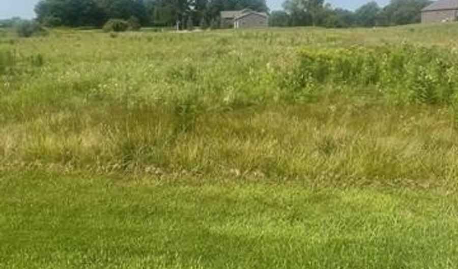 Parcel 2 Deerfield Meadows, Almont, MI 48003 - 0 Beds, 0 Bath