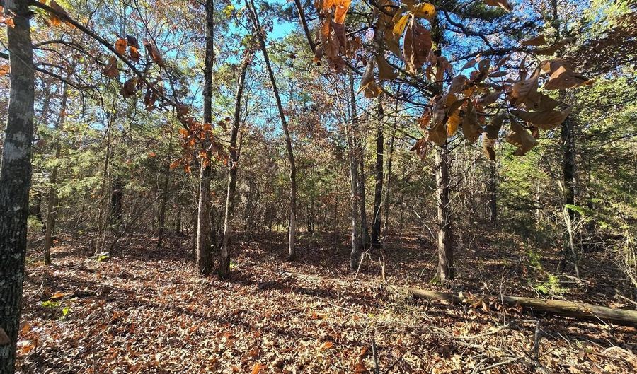 TBD Raw Land, Bates, AR 72958 - 0 Beds, 0 Bath