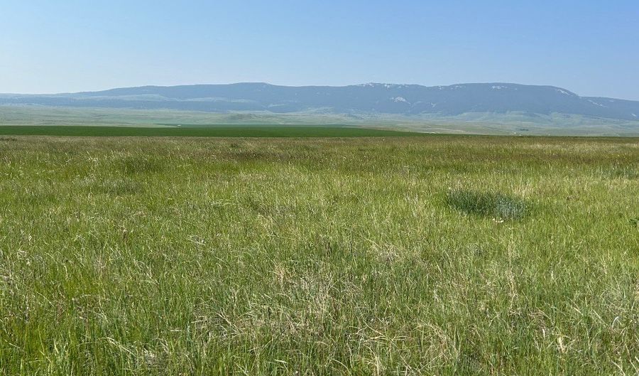 UBET Road, Buffalo, MT 59418 - 0 Beds, 0 Bath