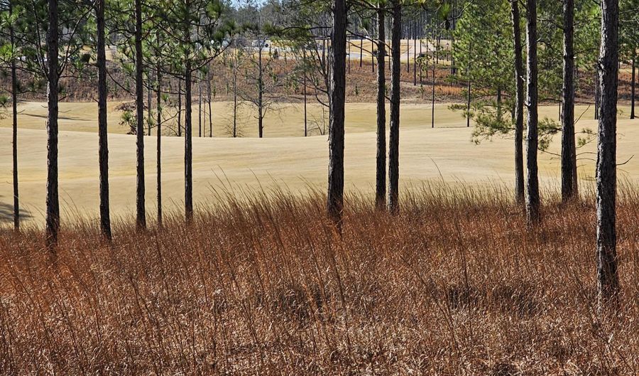104 Dedies Way, Alexander City, AL 35010 - 0 Beds, 0 Bath