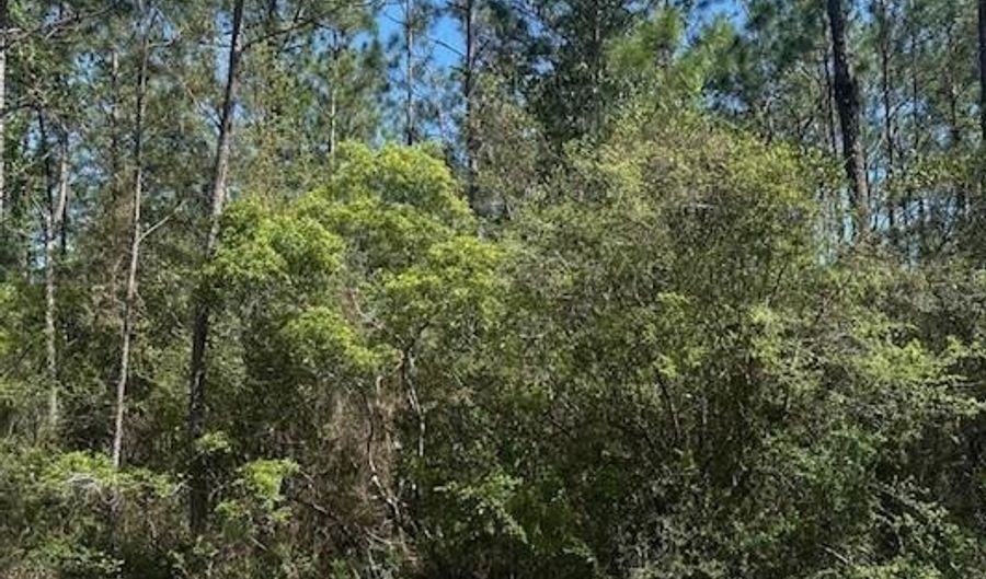 Lot 17 E. Kemper, Bay St. Louis, MS 39520 - 0 Beds, 0 Bath