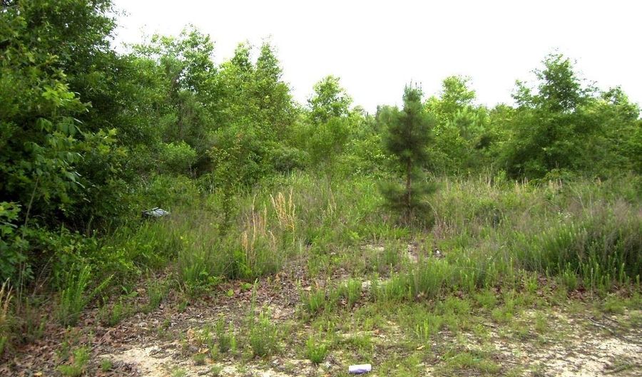 118 LR 27, Ashdown, AR 71822 - 0 Beds, 0 Bath