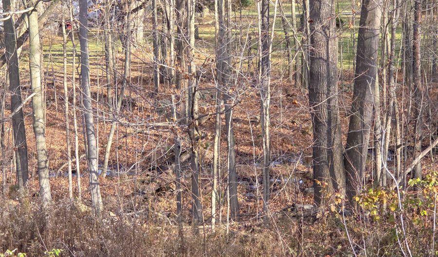 970 Irona Rd, Altona, NY 12910 - 5 Beds, 3 Bath