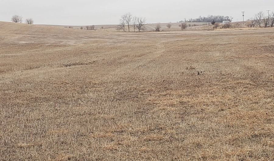 56626 868 Rd, Belden, NE 68717 - 0 Beds, 0 Bath