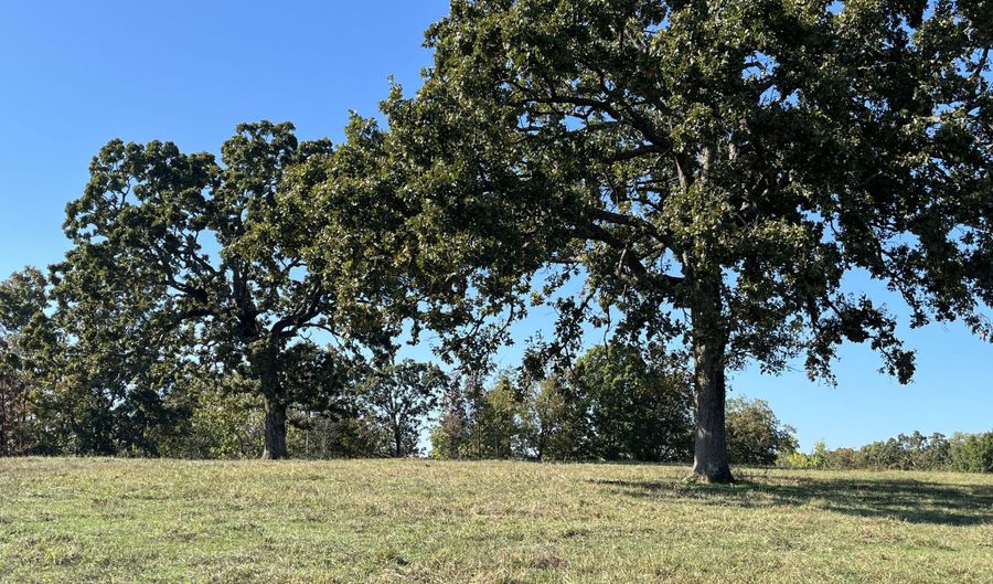 County Road 113, Alton, MO 65606 - 0 Beds, 0 Bath