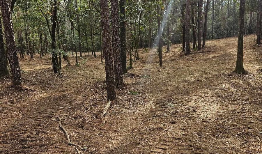 11040 County Road 138, Bay Minette, AL 36507 - 0 Beds, 0 Bath