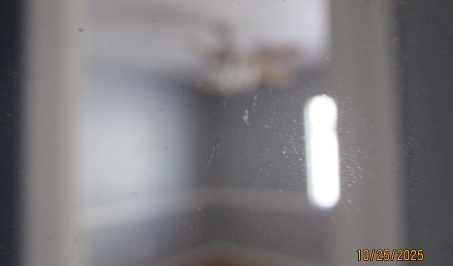 22212 W TONTO St, Buckeye, AZ 85326 - 3 Beds, 2 Bath