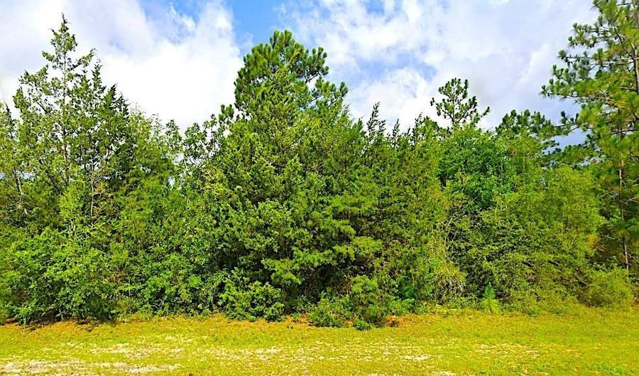 Fairview Road, Alford, FL 32420 - 0 Beds, 0 Bath