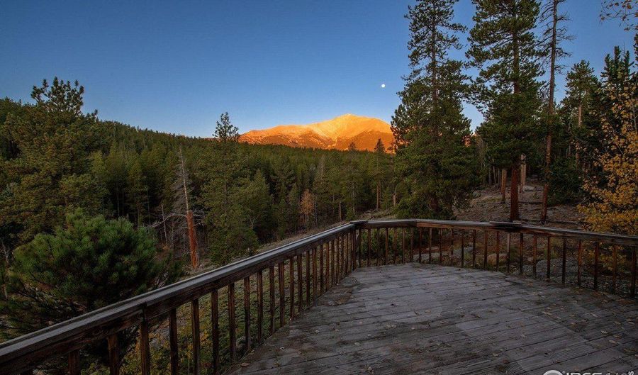 1997 Big Owl Rd, Allenspark, CO 80510 - 5 Beds, 4 Bath