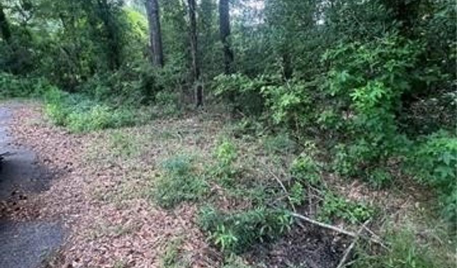 Lot 1 NOLA Lane, Bogalusa, LA 70427 - 0 Beds, 0 Bath