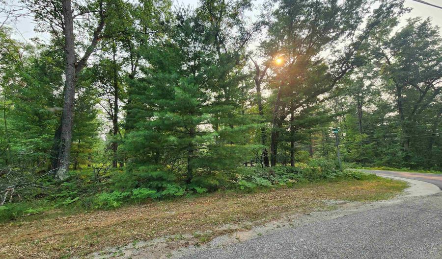 Lot 98 Wilderness, Alger, MI 48610 - 0 Beds, 0 Bath