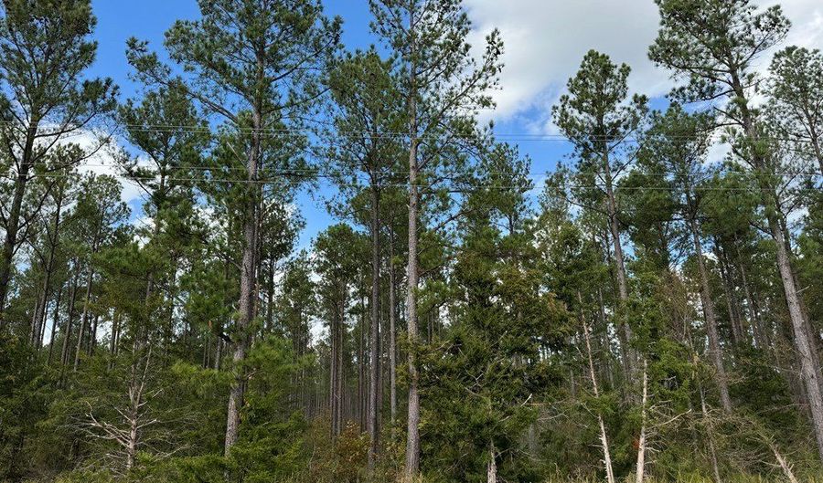 03 Seneca St Ext, Calhoun Falls, SC 29628 - 0 Beds, 0 Bath