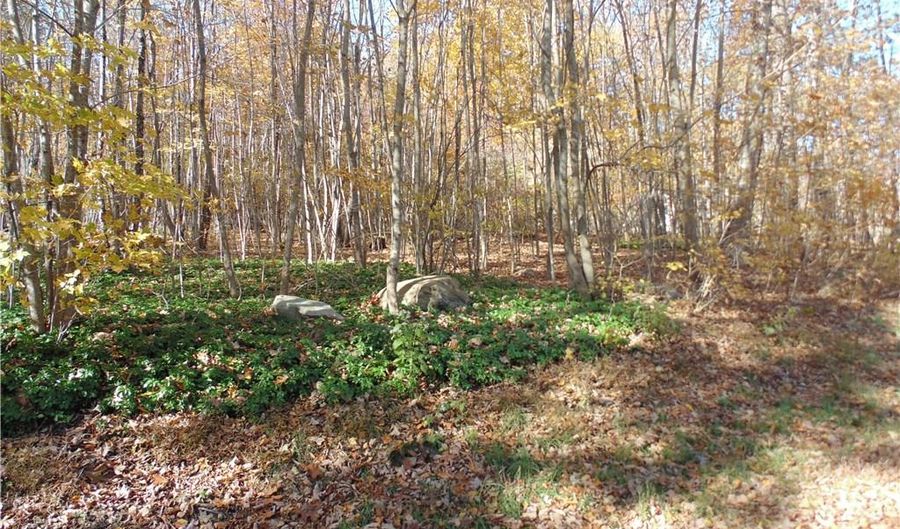 Lot 6-9 Ashford Lake Drive, Ashford, CT 06278 - 0 Beds, 0 Bath