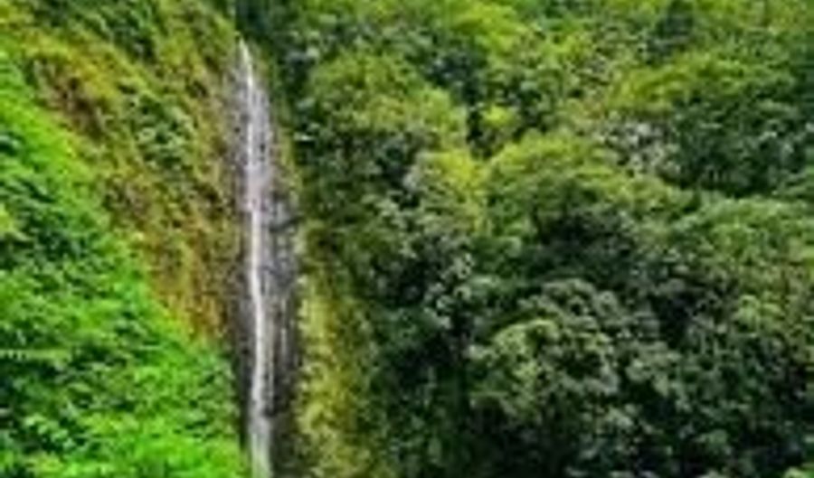 53-720 Kamehameha Hwy 4A, Hauula, HI 96717 - 0 Beds, 0 Bath