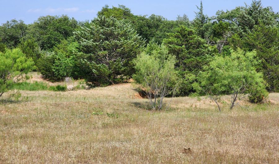 County Road 1270, Alvord, TX 76225 - 0 Beds, 0 Bath
