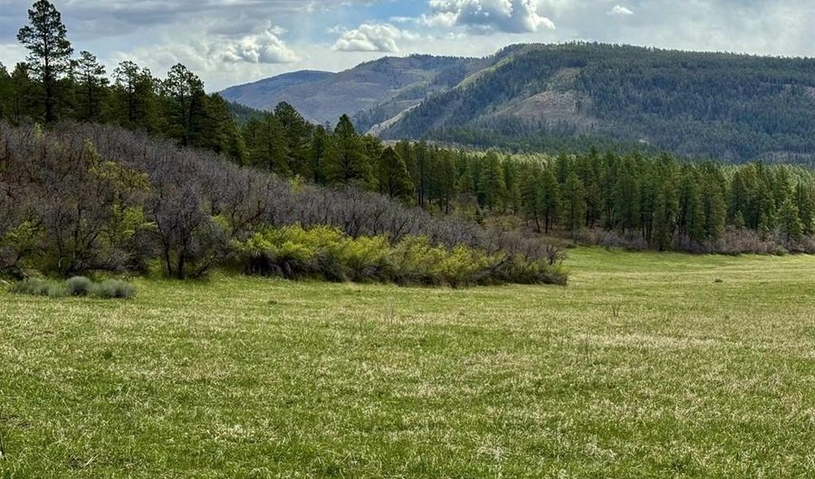 15098 CR 240, Bayfield, CO 81122 - 0 Beds, 0 Bath