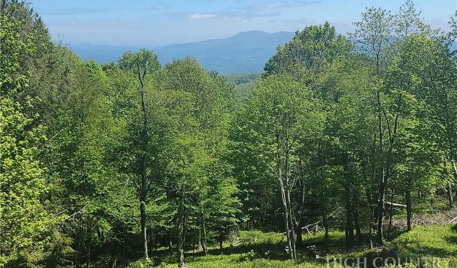 Foxfire Drive, Banner Elk, NC 28604 - 0 Beds, 0 Bath