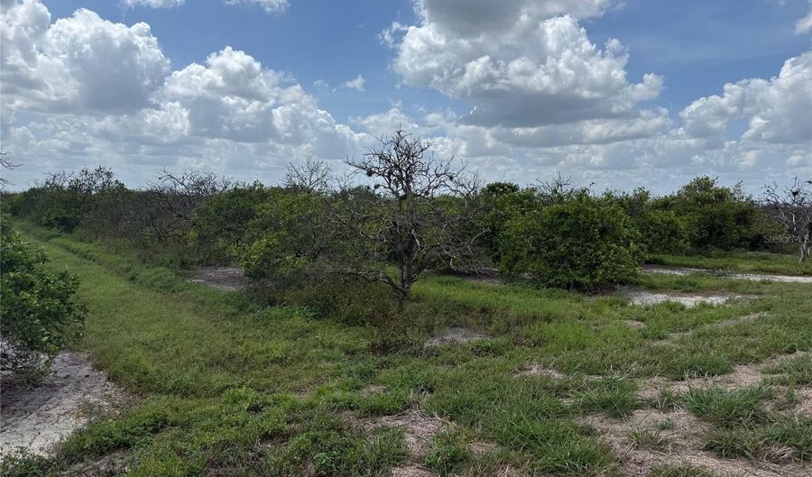 NE HIGHWAY 70, Arcadia, FL 34266 - 0 Beds, 0 Bath