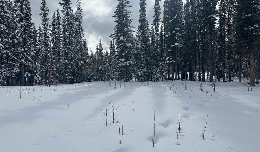 nhn WILLOW Lot 8, FROSTWOODS SUBDIVISION, Plat No. 85-63, Tok, AK 99780 - 1 Beds, 1 Bath