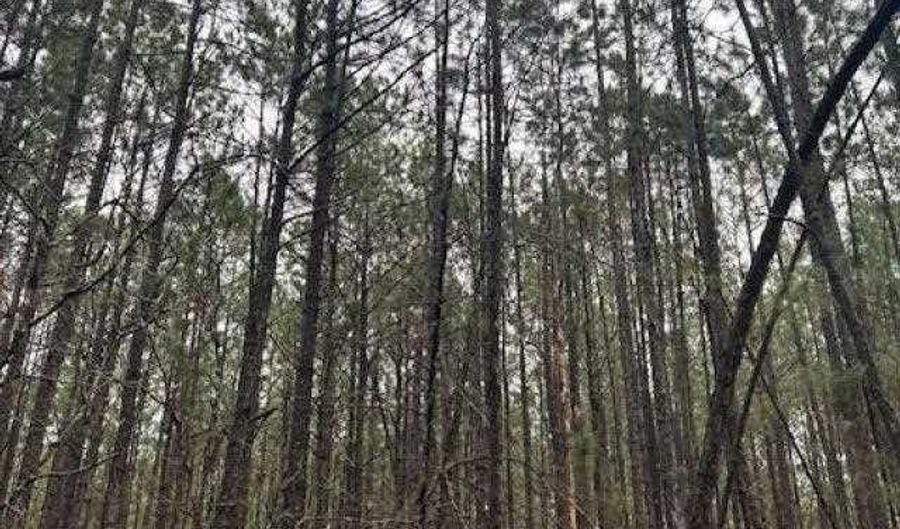 TBD Freeman Rd, Bethune, SC 29009 - 0 Beds, 0 Bath